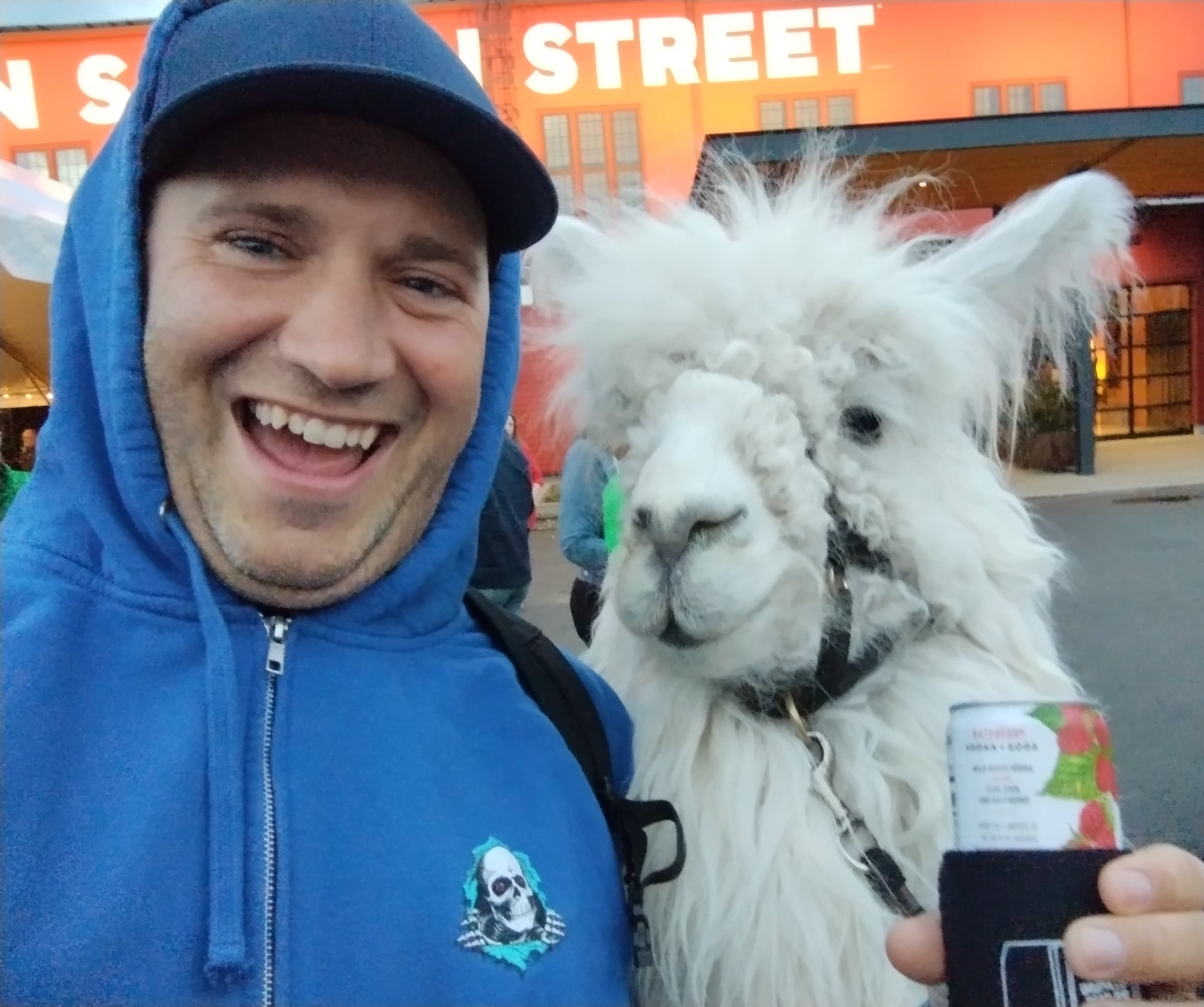 Jesse Nicola posing with an Alpaca, or is it a camel? We will never know.
